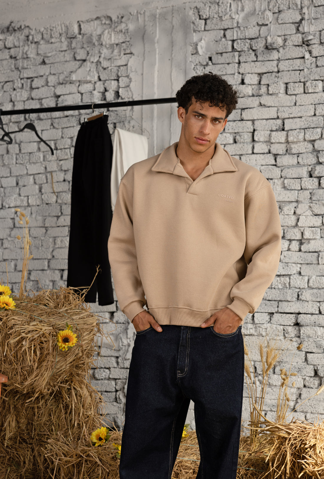 Polo Sweatshirt in Beige